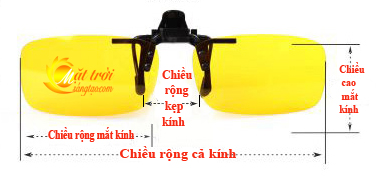 Mắt kính phân cực BERTHA 18